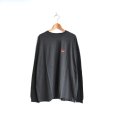 画像1: EEL products / discovery L/S Tee (E-24588) (1)