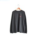 EEL products / discovery L/S Tee (E-24588)