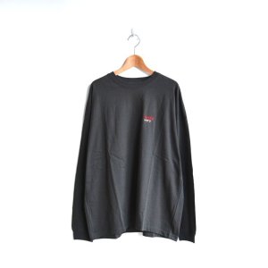 画像: EEL products / discovery L/S Tee (E-24588)